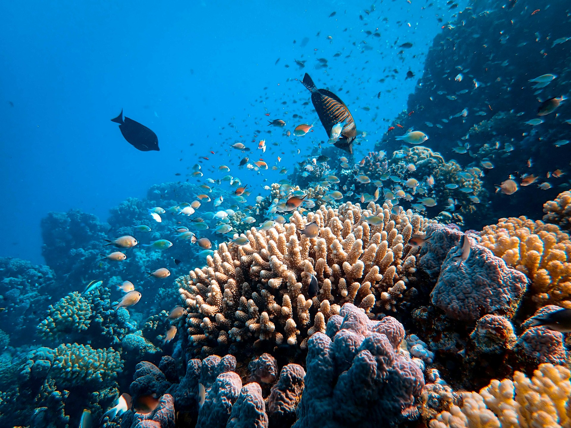 Ontdek Egypte: Van Hurghada’s Stranden tot de Piramides van Gizeh 0