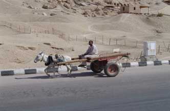 Luxor en Aswan 8 Dagen Vol Cultuur Geschiedenis en Luxe in Egypte 8
