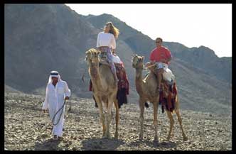 De Ultieme Egypte Jordanië Combinatiereis Strand, Cultuur en Avontuur 0