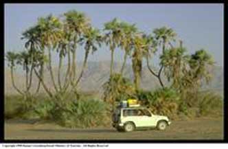 8 dagen 4 sterren Jeep safari Sinai Inclusief excursies 1