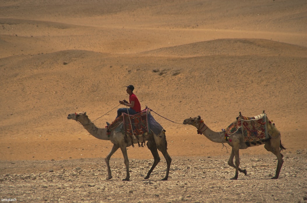 8 dagen 4 sterren Jeep safari Sinai Inclusief excursies