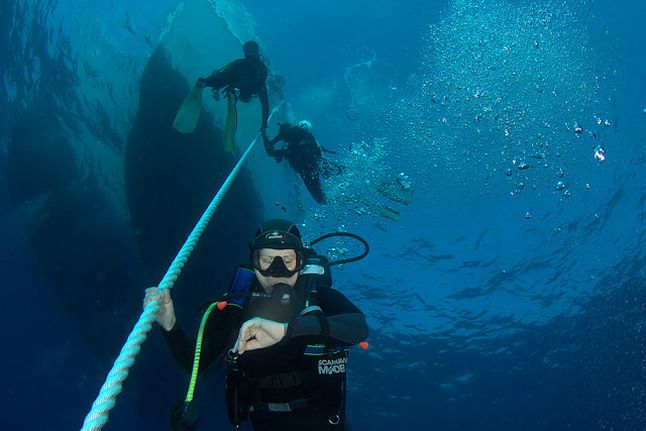 Best of Ras Mohamed and Straits of Tiran diving Afbeelding