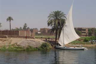 8 dagen 5 sterren  Nijlcruise en Cairo by Air CAI 0