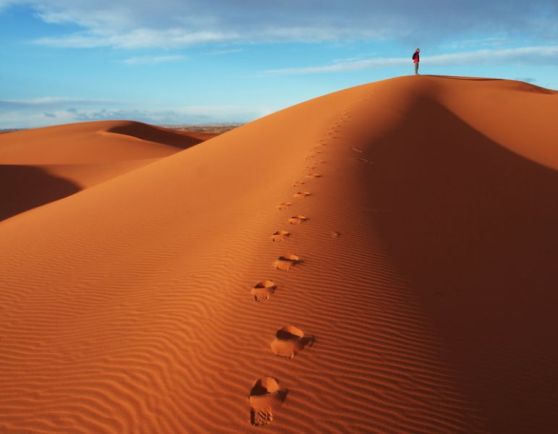 Sahara Langs tempels en oases 1