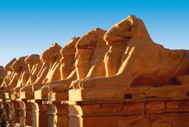 8-daagse Rondreis door Egypte: Ontdek de Pracht van de Nijl en de Piramides 8
