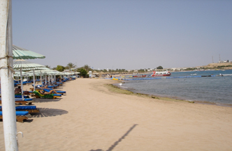 SPECIAL! 11 daagse 4 sterren Cairo en Sharm El Sheikh