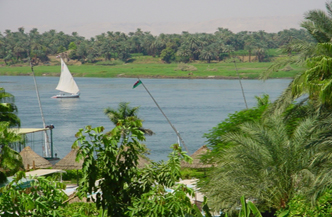 SPECIAL 11 daagse rondreis Cairo en Nijlcruise 2